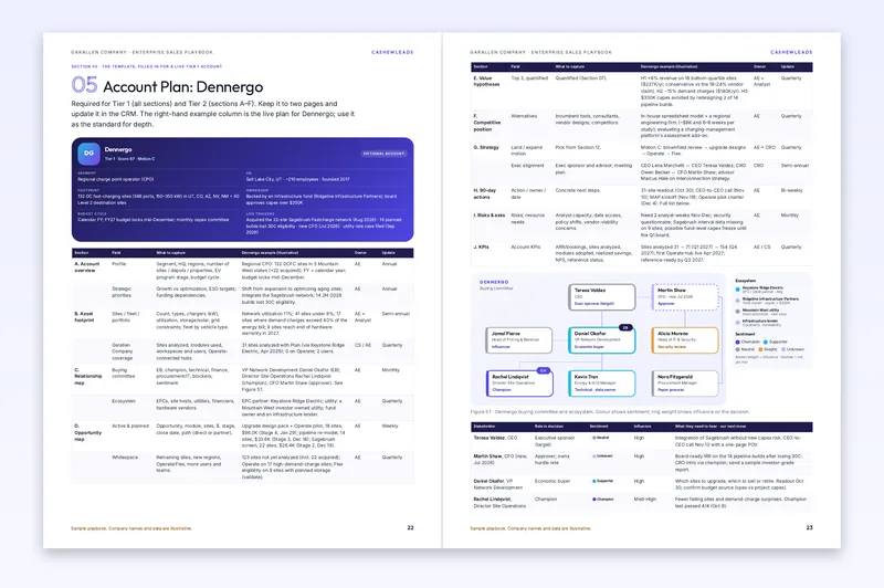 Sample pages with a filled-in account plan for the fictional Dennergo and a map of its buying committee.